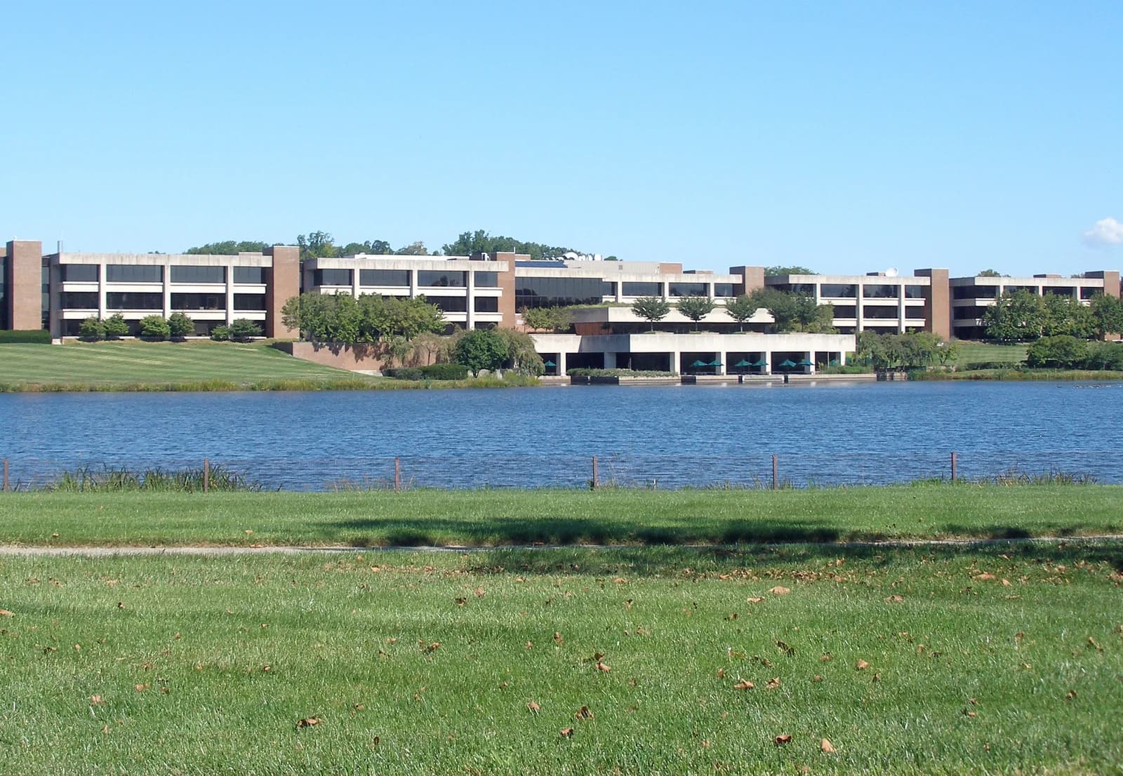 Bristol-Myers Squibb