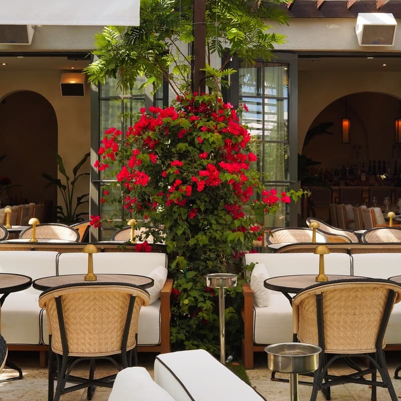 Le Basilic - Photo 3