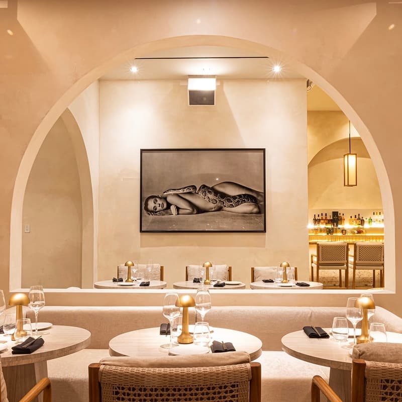 Le Basilic - Photo 4