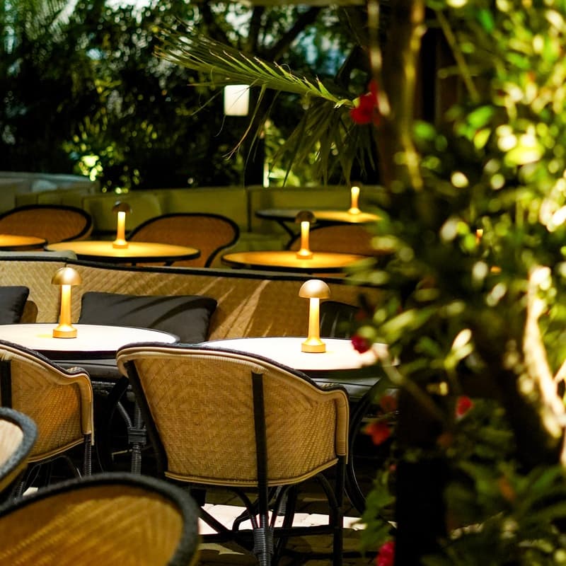 Le Basilic - Photo 5