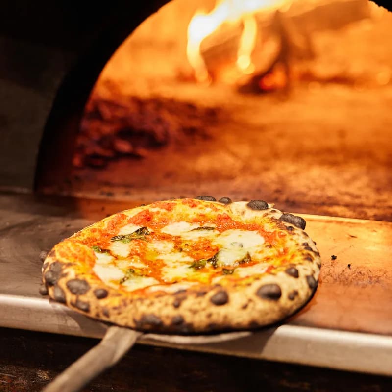 Walrus Rodeo - Main photo