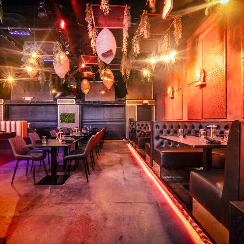 Saucy Boodah - Photo 2