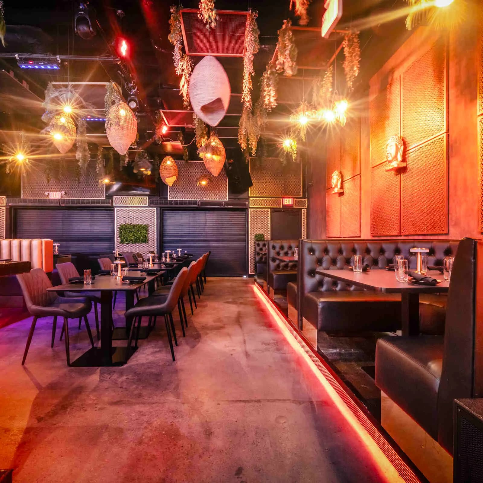 Saucy Boodah - Main photo