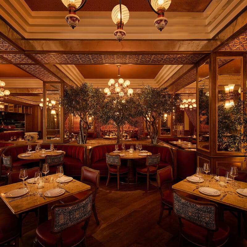 Mother Wolf - Photo 2