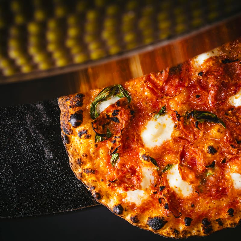 Mother Wolf - Photo 3