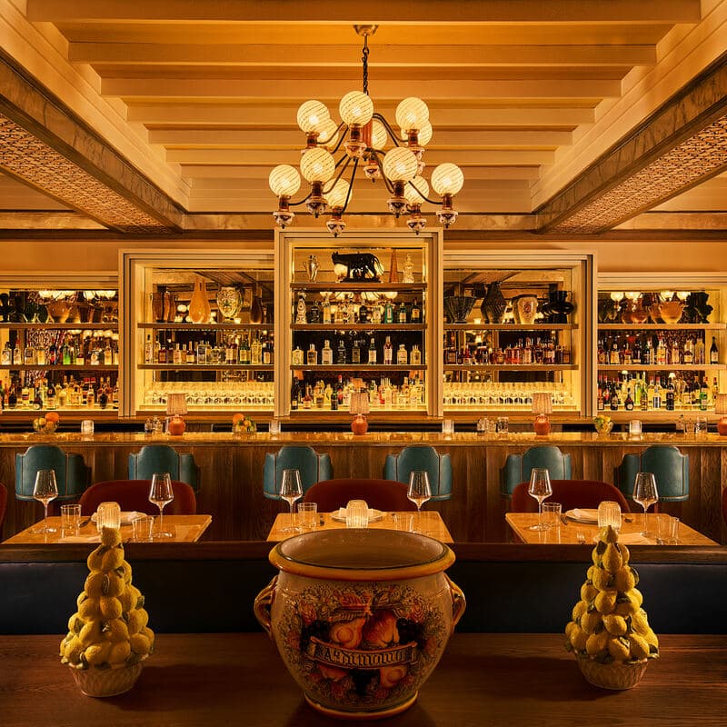 Mother Wolf - Photo 4