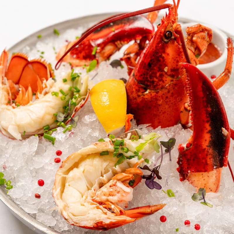 A Fish Called Avalon - Photo 5