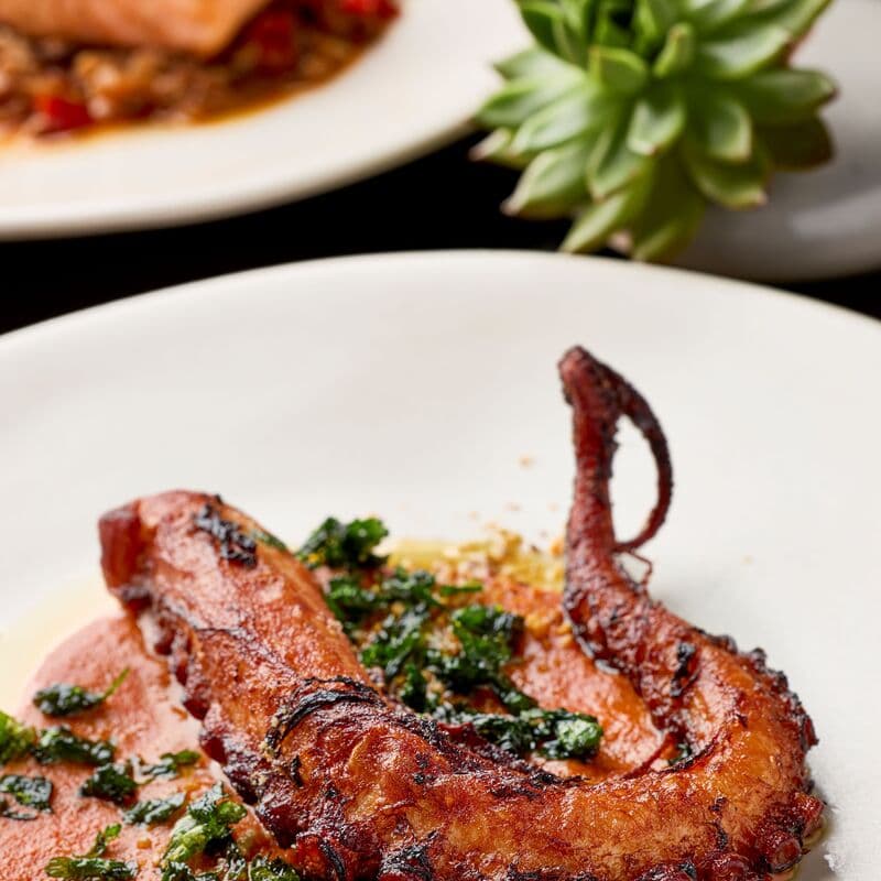 Adrift Mare - Photo 4