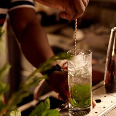 Phineas at Loews Coral Gables Hotel - Photo 4