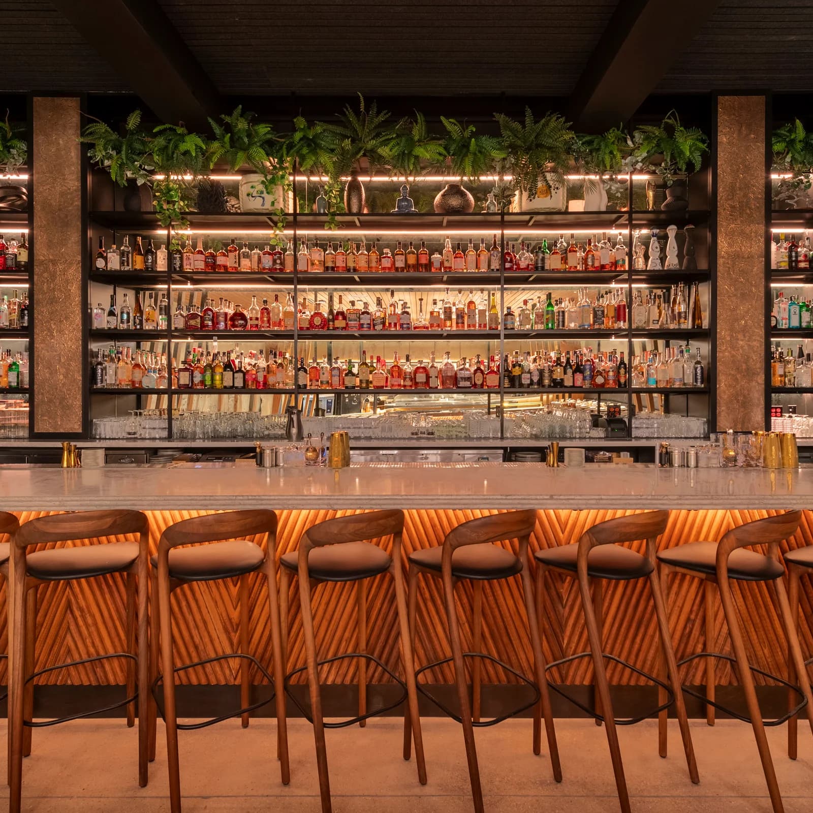 KYU Miami - Main photo