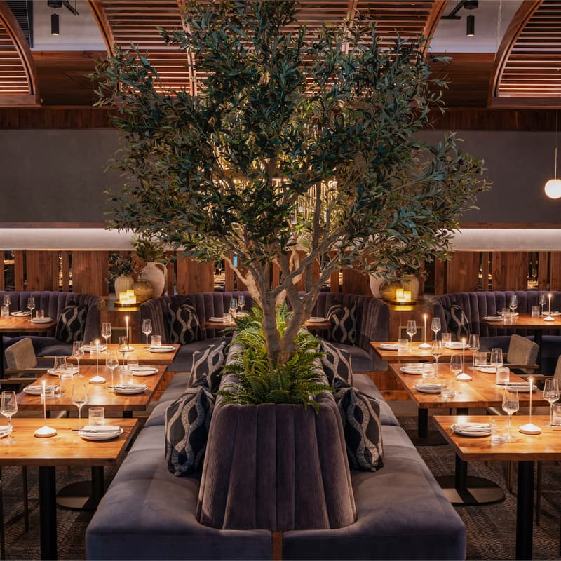 Sparrow Italia - Photo 3