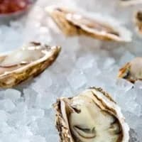 The River Oyster Bar - Main photo